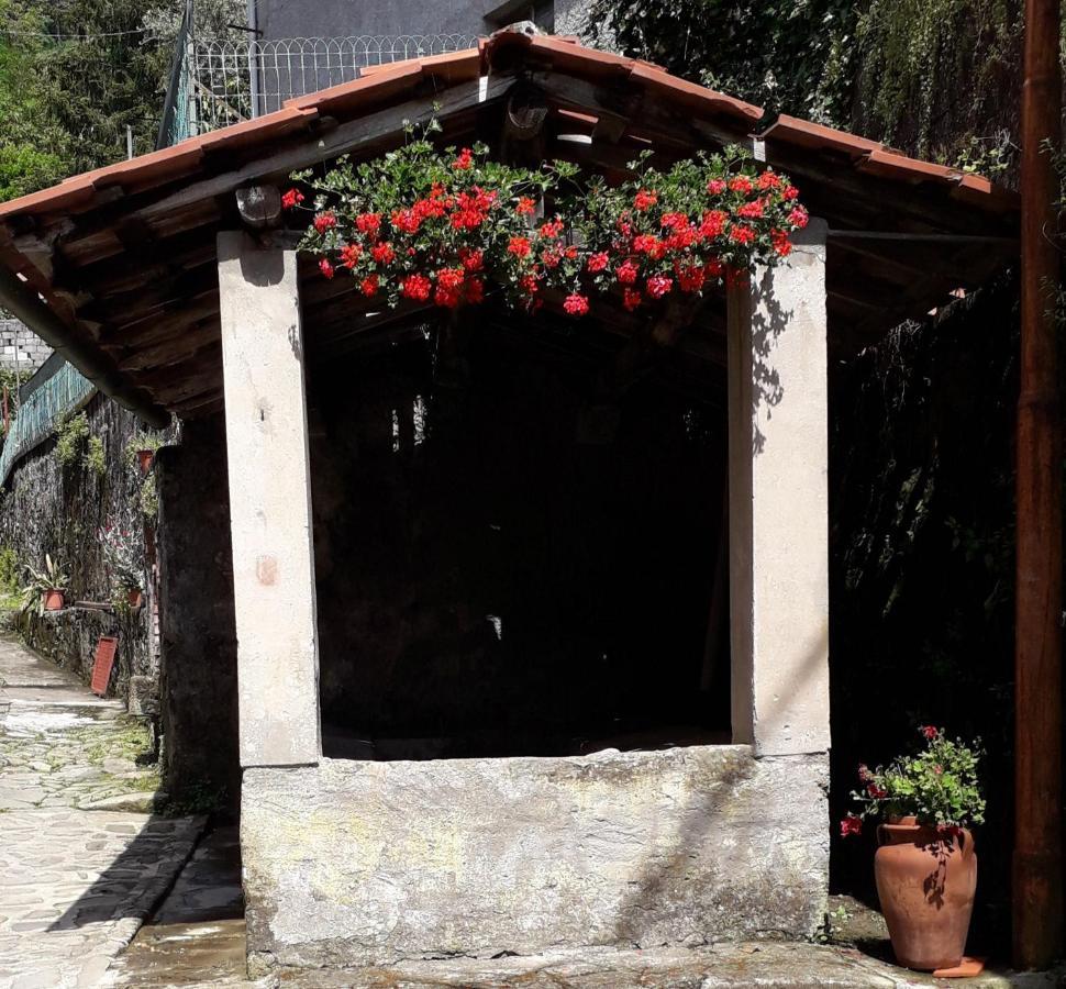 Casa Ginevra Villa Бани ди Лука Екстериор снимка